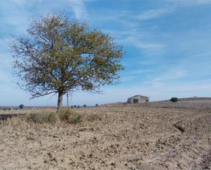 Grundstücke zum verkauf in Lebrija