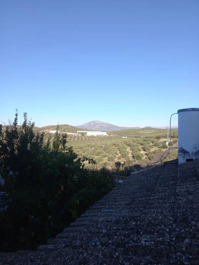 Vista exterior de Casa adosada en venda en Fuente-Tójar amb Jardí privat