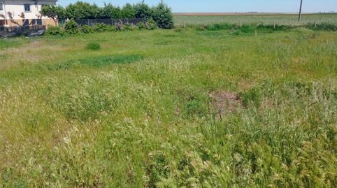 Urbanitzable en venda a Carretera Salamanca, 999, San Cristóbal de la Cuesta, Salamanca - imatge 4 Foto 4 de Urbanitzable en venda a Carretera Salamanca, 999, San Cristóbal de la Cuesta, Salamanca