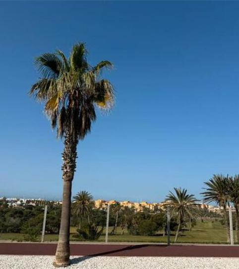 Foto 2 de Casa adosada en venda a Almerimar, Almería