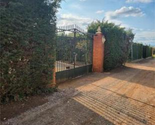 Garden of Single-family semi-detached for sale in Bolaños de Calatrava  with Private garden, Terrace and Swimming Pool