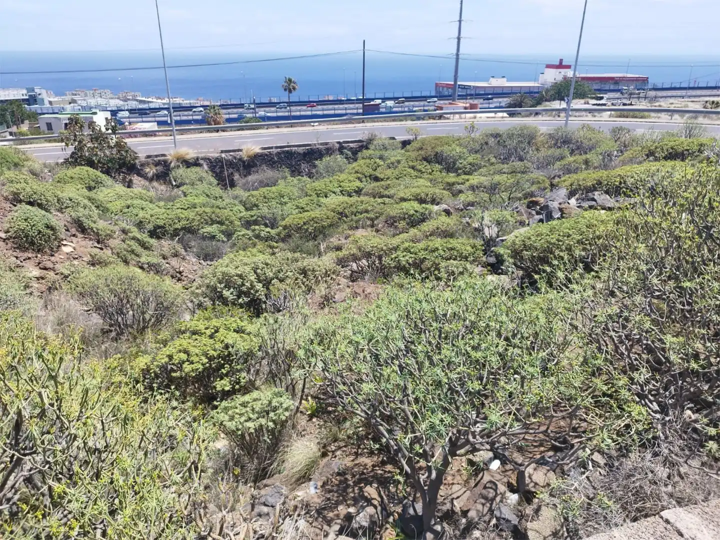 Exterior view of Residential for sale in Santa Cruz de Tenerife