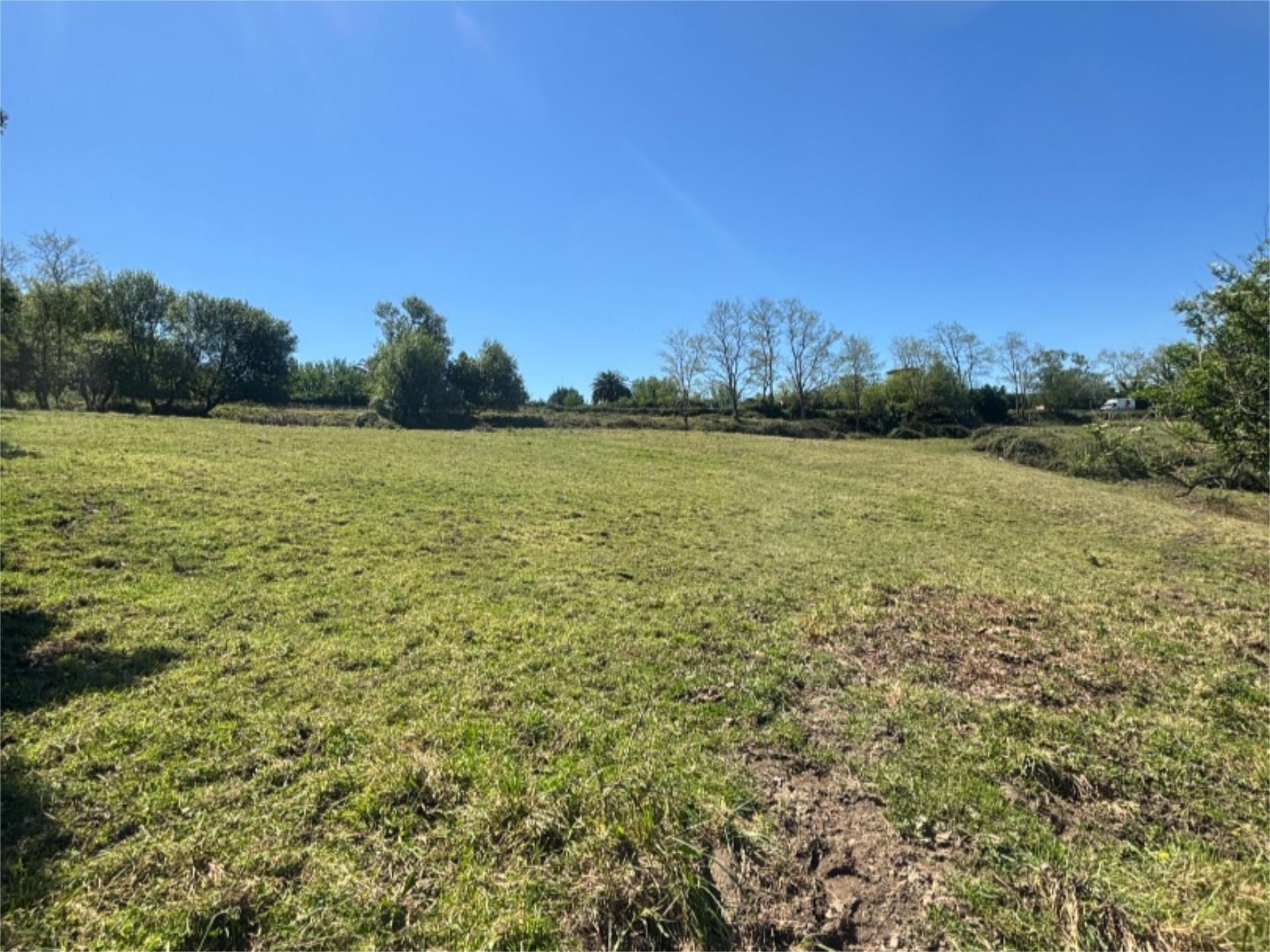 Non-constructible Land to rent in Bilbao 