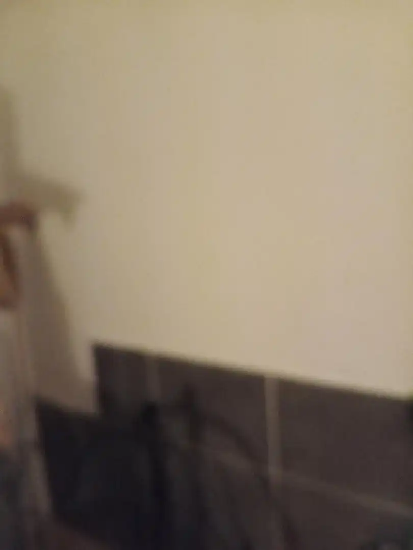 Bathroom of Storage room for rent in Noja