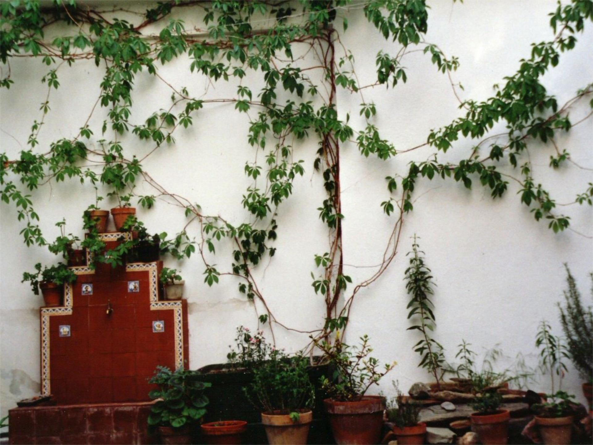 Jardí de Planta baixa en venda en Gálvez amb Terrassa i Balcó