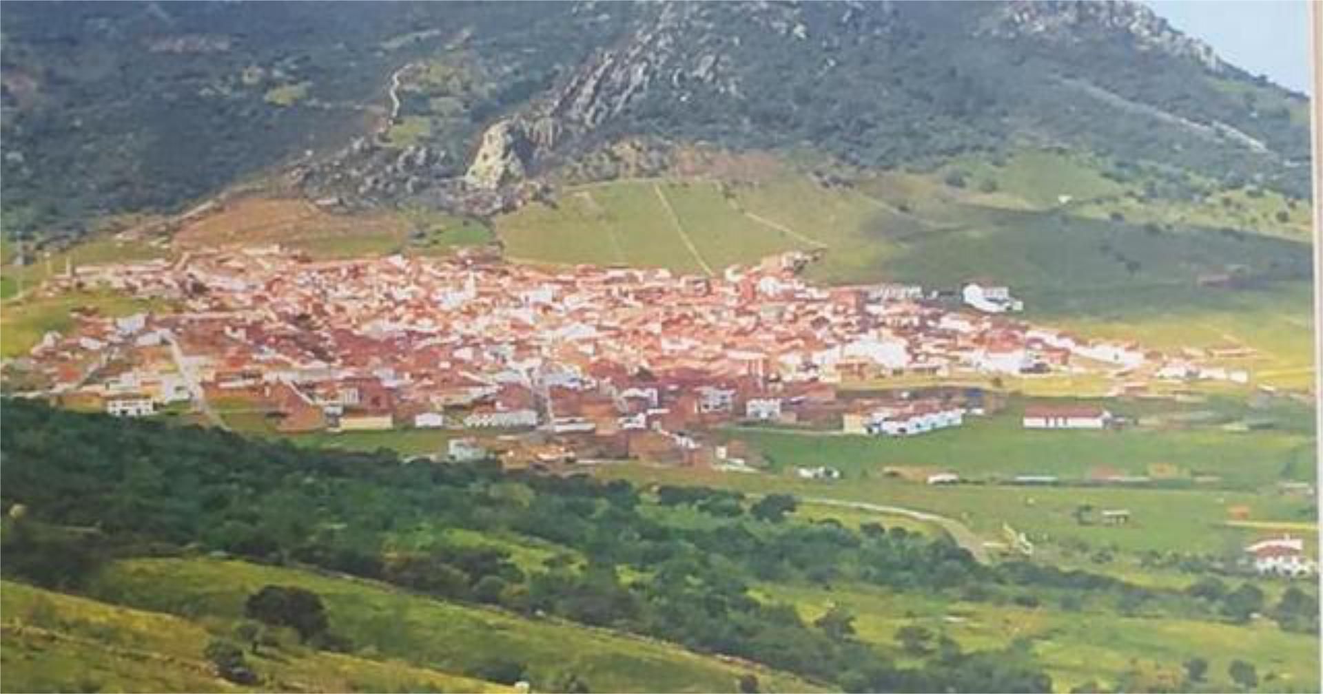 Vista exterior de Casa o xalet en venda en Peñalsordo amb Jardí privat i Moblat