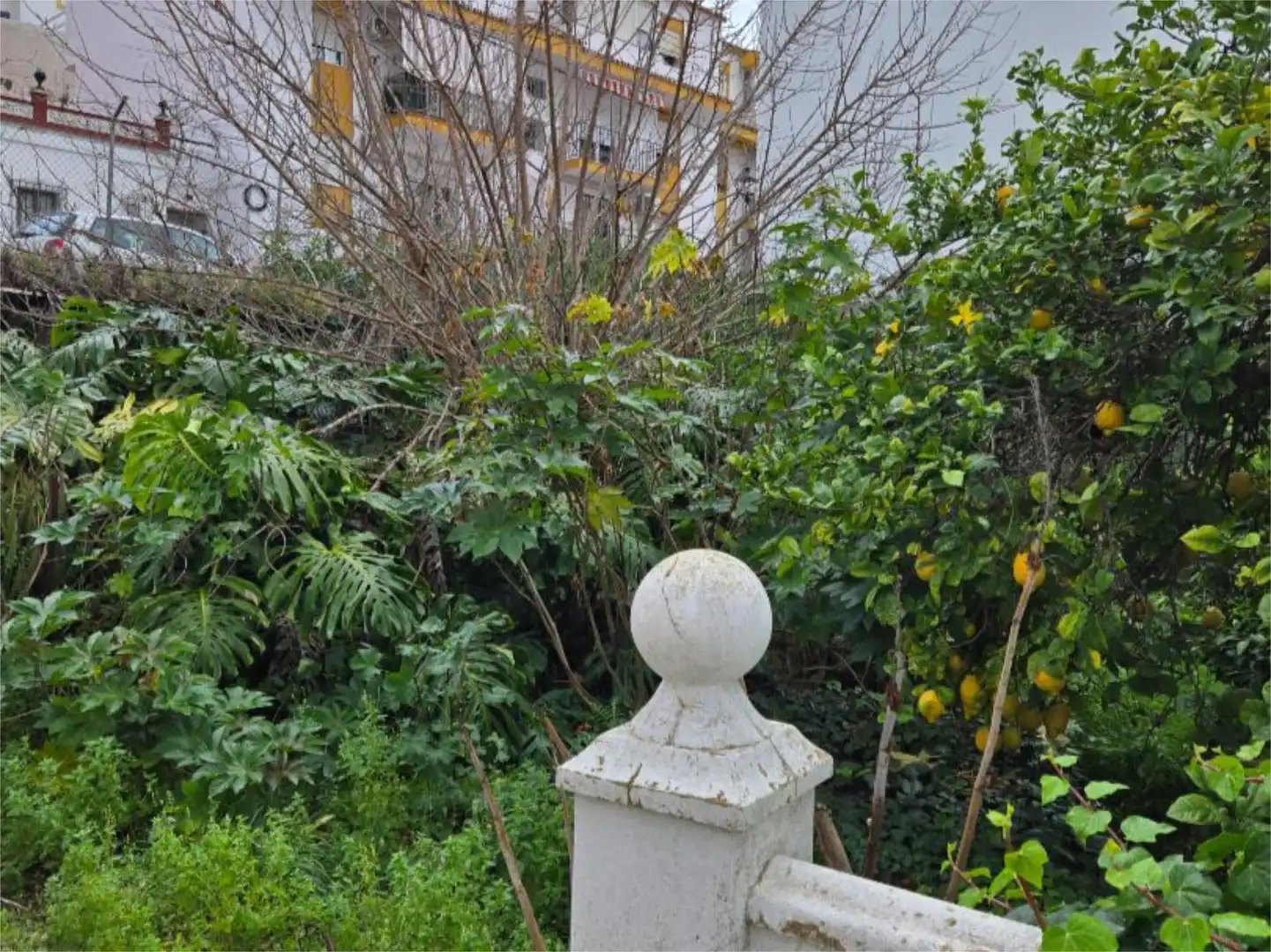 Urbanizable en venta en Calle Batallón Cazadores de Tarifa, 25, San Roque Pueblo Jardín de Urbanizable en venta en San Roque