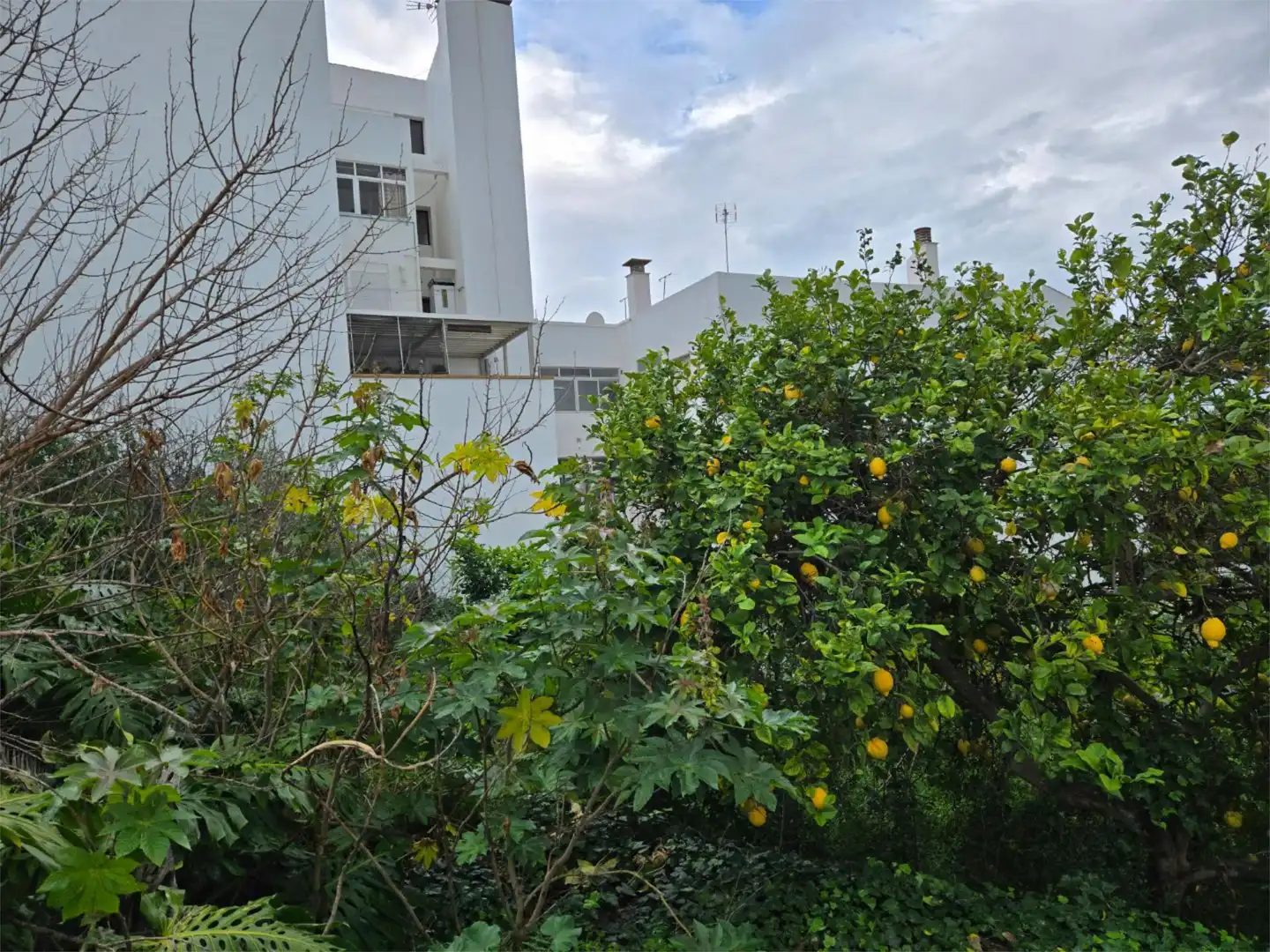 Urbanizable en venta en Calle Batallón Cazadores de Tarifa, 25, San Roque Pueblo Jardín de Urbanizable en venta en San Roque