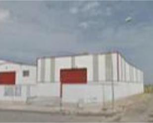 Exterior view of Industrial buildings for sale in Ribaforada