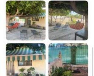 Jardí de Casa o xalet de lloguer en Elche / Elx