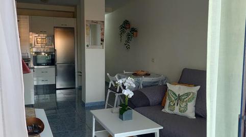 Flat to rent in Calle Artes de Mar, 1, Playa de San Juan, Santa Cruz de Tenerife - image 3 Photo 3 of Flat to rent in Calle Artes de Mar, 1, Playa de San Juan, Santa Cruz de Tenerife