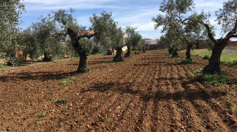 Foto 3 von Bebaubares Gelände zum Verkauf in Avenida Extremadura, 90, La Garrovilla , Badajoz