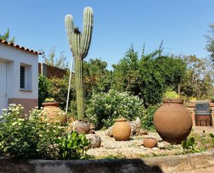 Jardí de Pis en venda en Olivenza amb Calefacció, Jardí privat i Terrassa