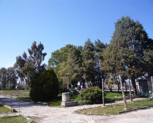 Industrial buildings to rent in Santa Olalla