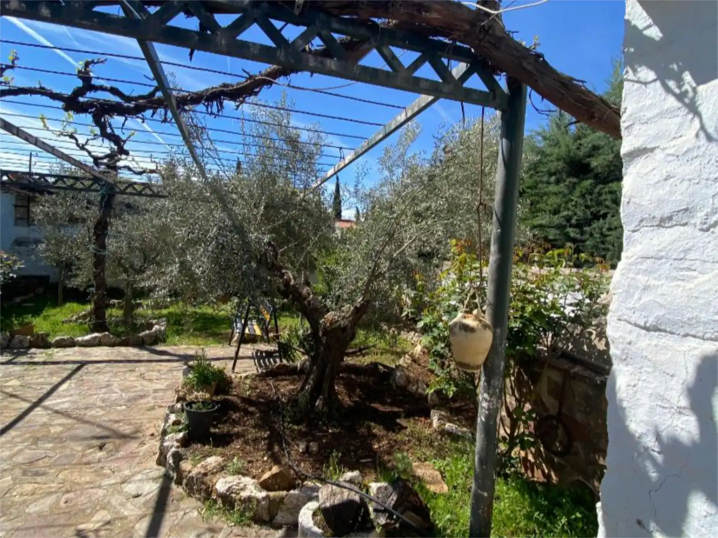 Houses for sale in Calle Lentiscar, 1, Viso del Marqués Garden of Houses for sale in Viso del Marqués with Private garden, Storage room and Furnished