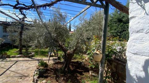 Casa o xalet en venda a Calle Lentiscar, 1, Viso del Marqués, Ciudad Real - imatge 4 Foto 4 de Casa o xalet en venda a Calle Lentiscar, 1, Viso del Marqués, Ciudad Real