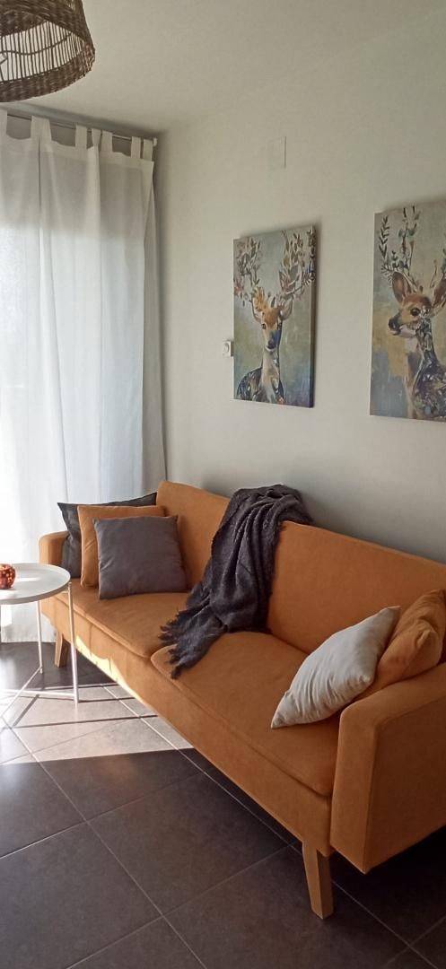 Living room of Loft to rent in Valladolid Capital  with Heating, Terrace and Furnished