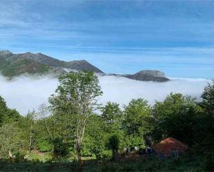 Exterior view of House or chalet for sale in Caso