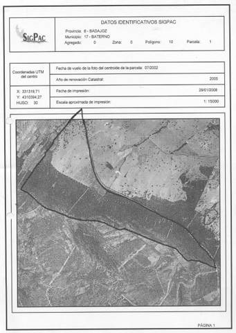 Finca rústica en Venta en Calle Escuela, 4 en Baterno