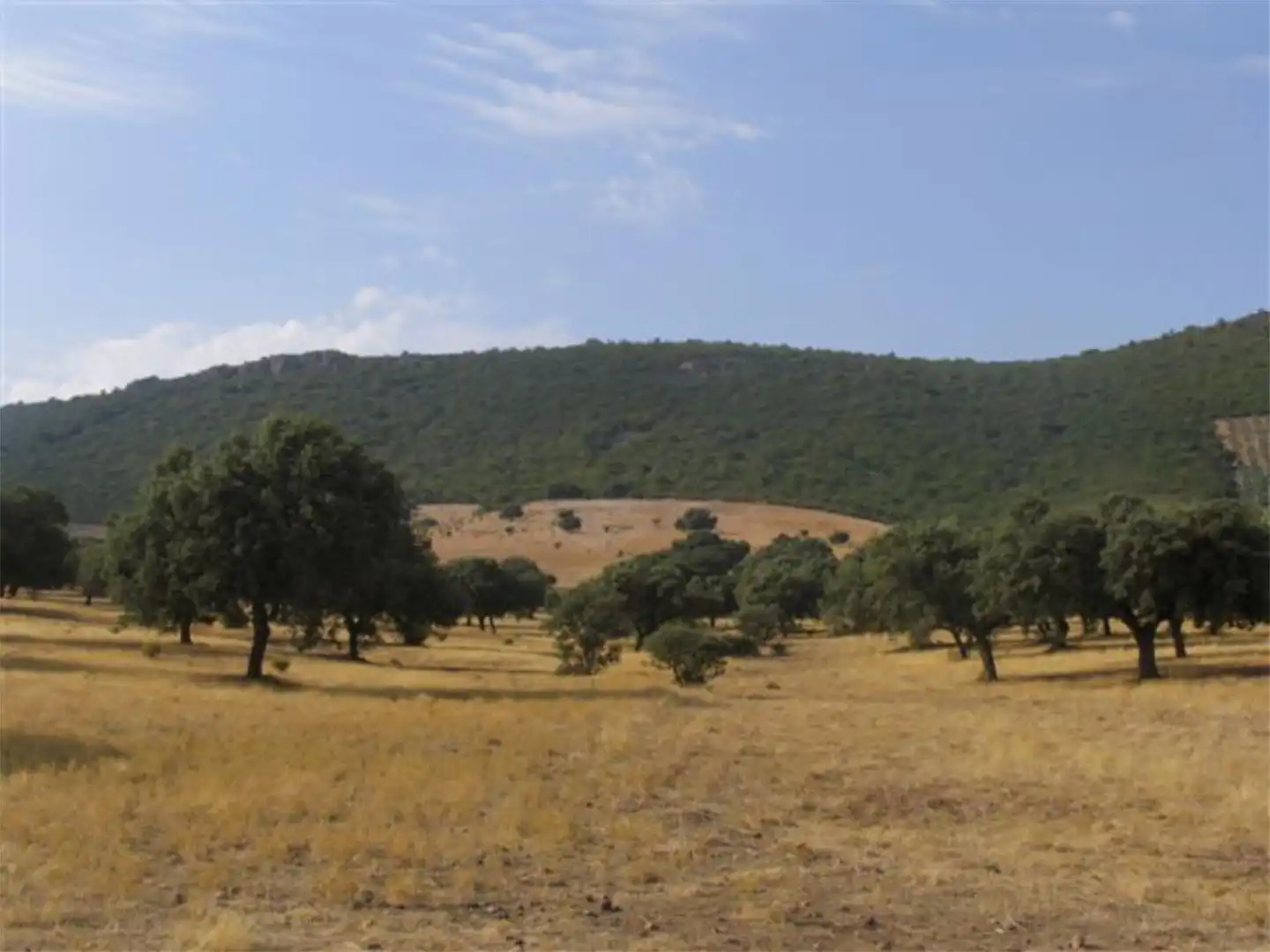 Country house zum Verkauf in Calle Escuela, 4, Baterno Country house zum Verkauf in Baterno