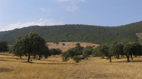 Foto 4 von Country house zum Verkauf in Calle Escuela, 4, Baterno, Badajoz