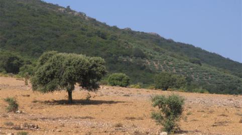 Foto 5 von Country house zum Verkauf in Calle Escuela, 4, Baterno, Badajoz