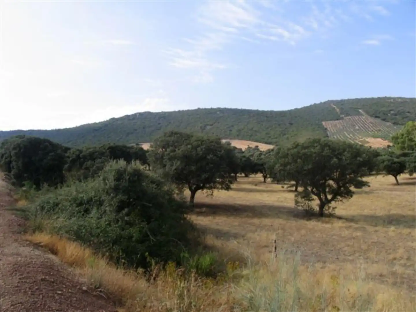 Country house zum Verkauf in Calle Escuela, 4, Baterno Country house zum Verkauf in Baterno