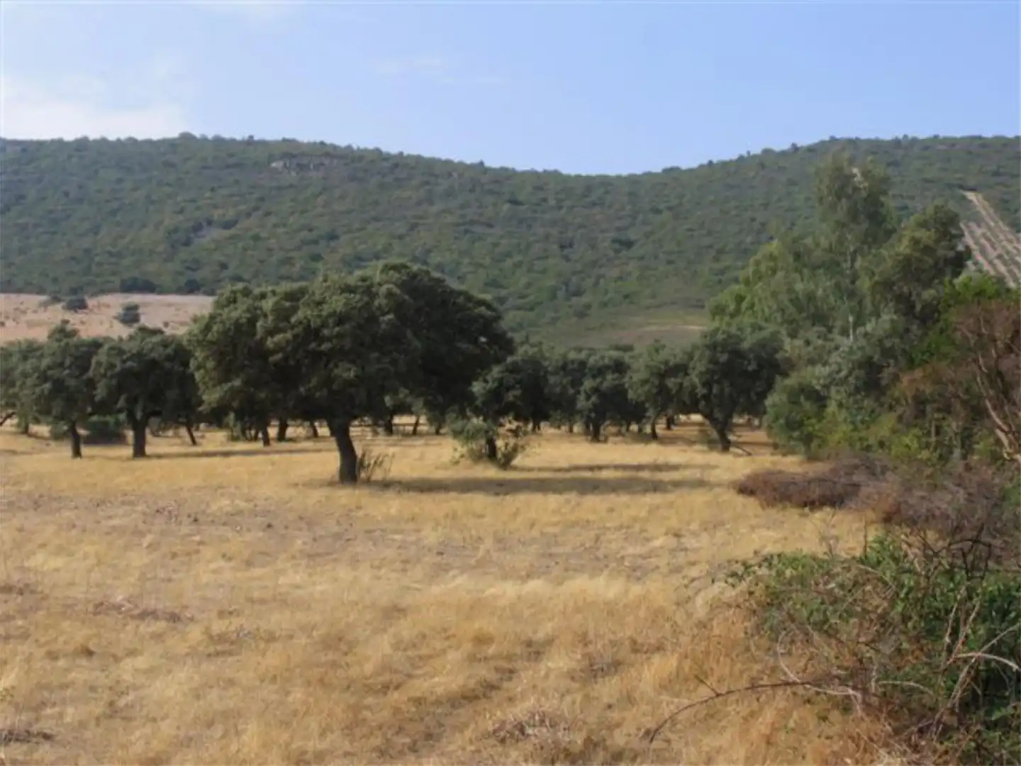Country house zum Verkauf in Calle Escuela, 4, Baterno Country house zum Verkauf in Baterno
