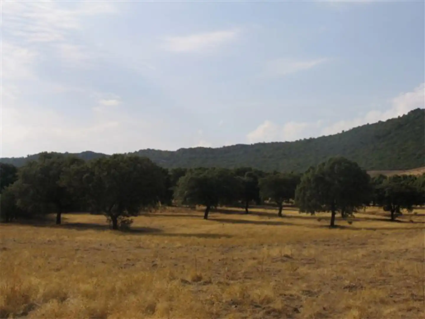 Country house zum Verkauf in Calle Escuela, 4, Baterno Country house zum Verkauf in Baterno