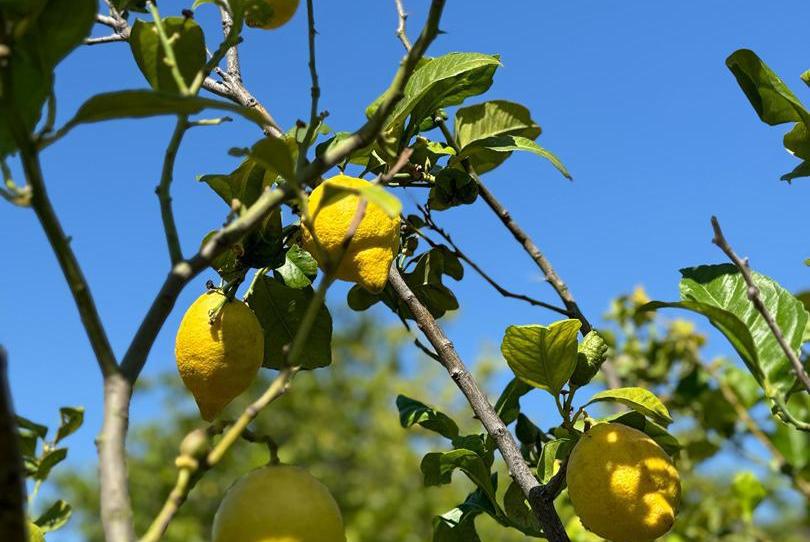 Photo 1 of Duplex for sale in Via Sup S17 Los Pilones, 23, Valtocado - La Alquería - La Atalaya, Málaga