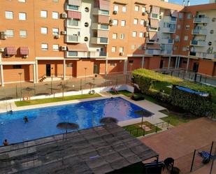 Swimming pool of Flat to rent in Montequinto  with Air Conditioner, Private garden and Terrace