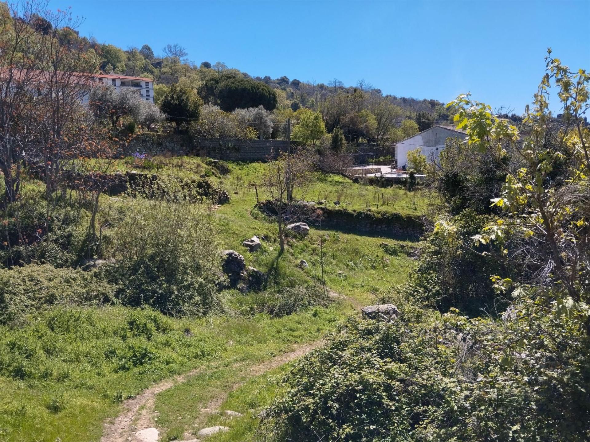 Constructible Land for sale in El Real de San Vicente