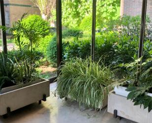Garden of Flat to rent in  Madrid Capital
