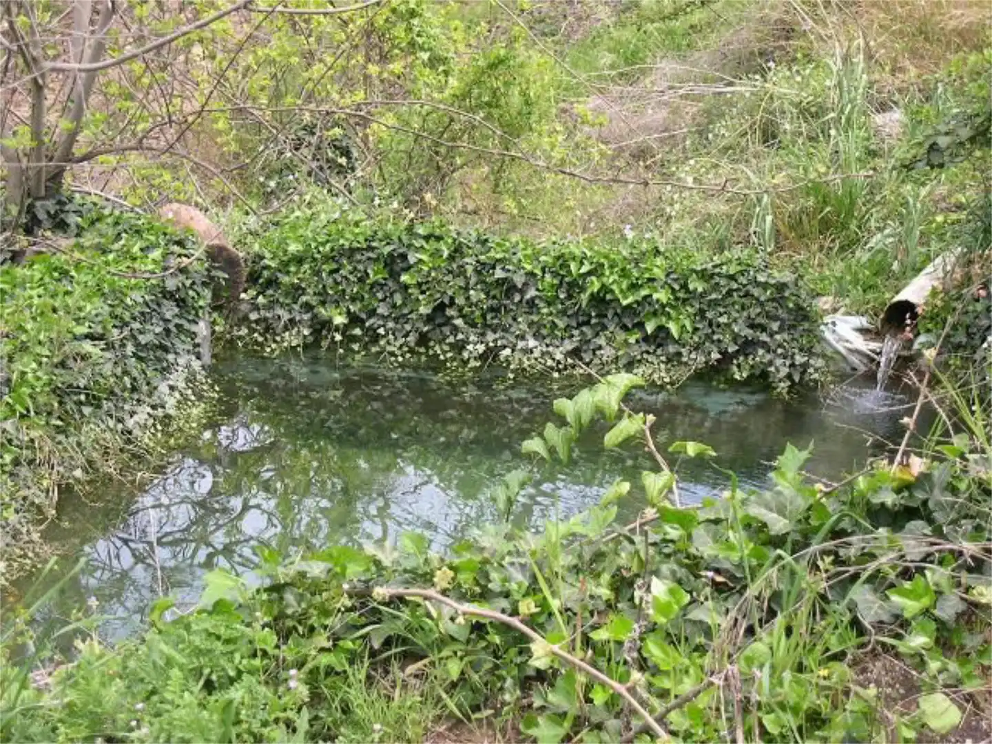Piscina de Local de alquiler en Zagra con Aire acondicionado, Calefacción y Amueblado
