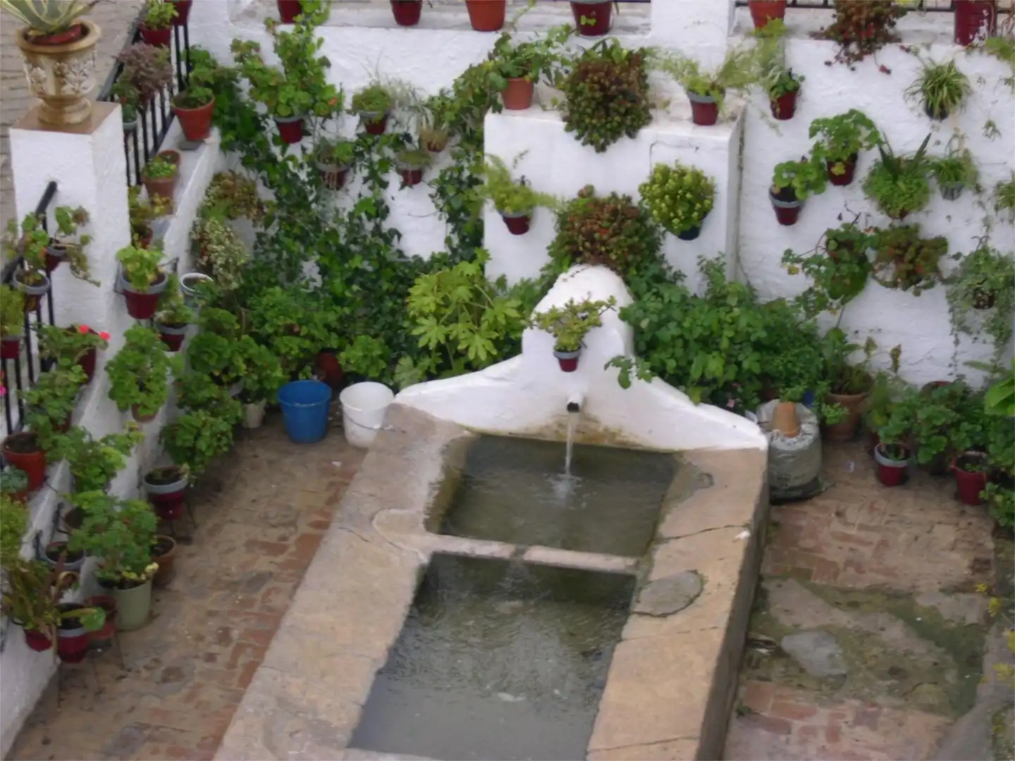 Jardín de Local de alquiler en Zagra con Aire acondicionado, Calefacción y Amueblado
