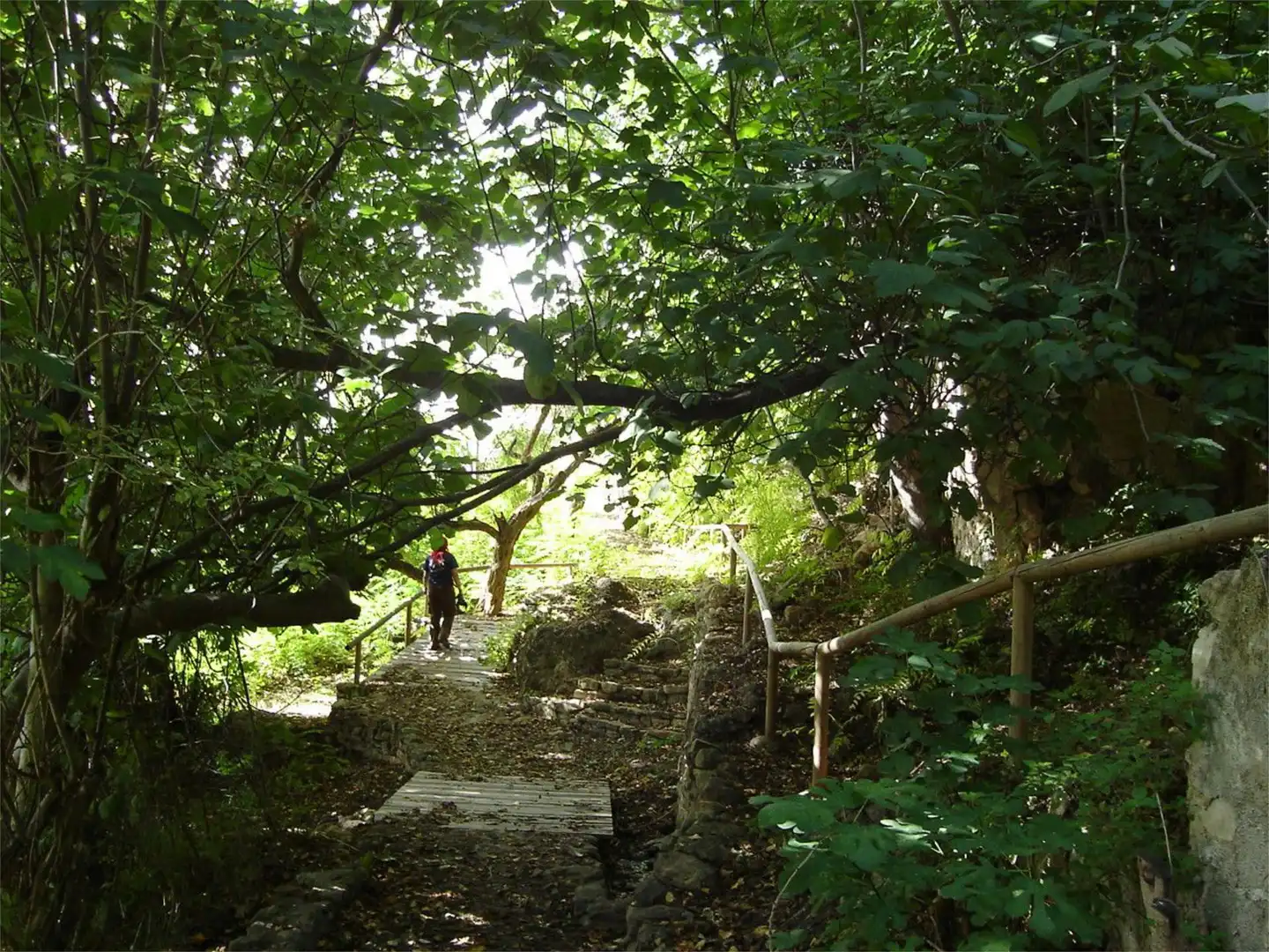 Jardín de Local de alquiler en Zagra con Aire acondicionado, Calefacción y Amueblado