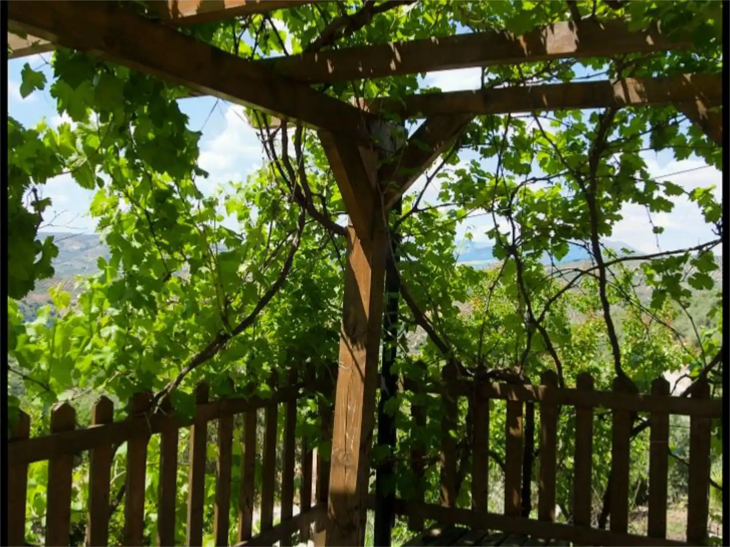 Jardín de Local de alquiler en Zagra con Aire acondicionado, Calefacción y Amueblado