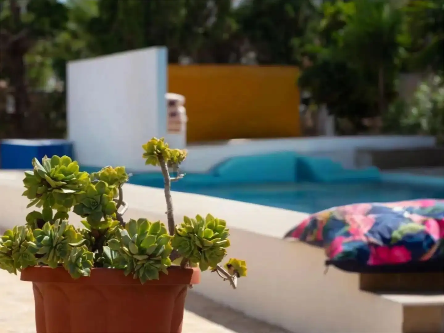 Pis de lloguer a Avenida Entremares, 32, El Sabinar – Urbanizaciones – Las Marinas – Playa Serena Piscina de Pis de lloguer en Roquetas de Mar amb Aire condicionat, Calefacció i Jardí privat