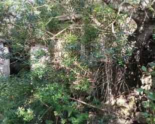 Land for sale in Alaior