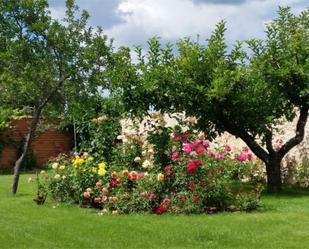 Jardí de Finca rústica en venda en Valdepolo