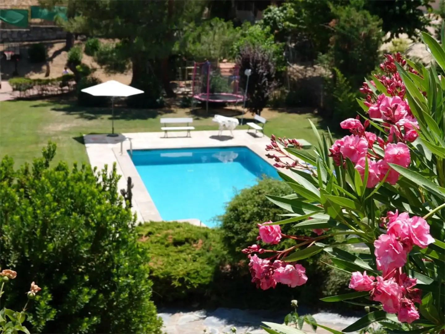 Casa o chalet de alquiler en Ciudalcampo Piscina de Casa o chalet de alquiler en Ciudalcampo