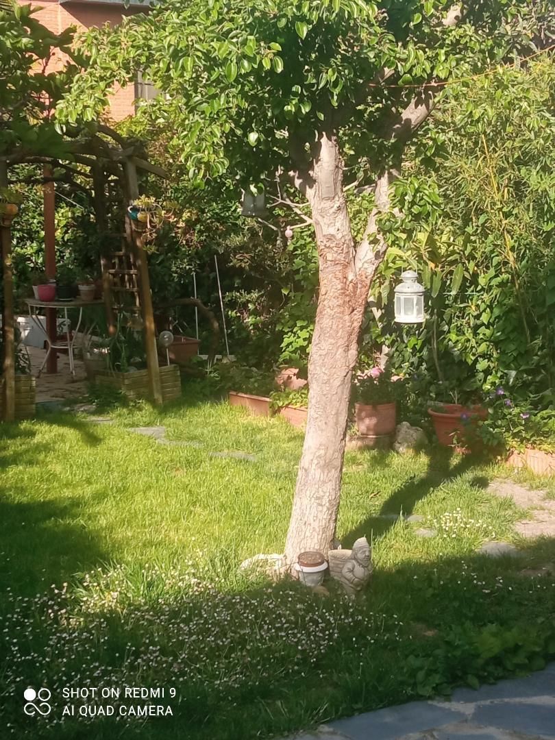 Garden of Box room for sale in Las Rozas de Madrid