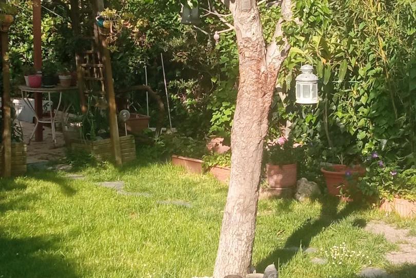 Foto 1 de Traster en venda a Calle Tracia, 6, Monte Rozas, Madrid