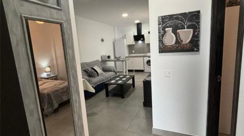 Flat to rent in Calle Giner de Los Ríos, 3, Montilla, Córdoba - image 2 Photo 2 of Flat to rent in Calle Giner de Los Ríos, 3, Montilla, Córdoba