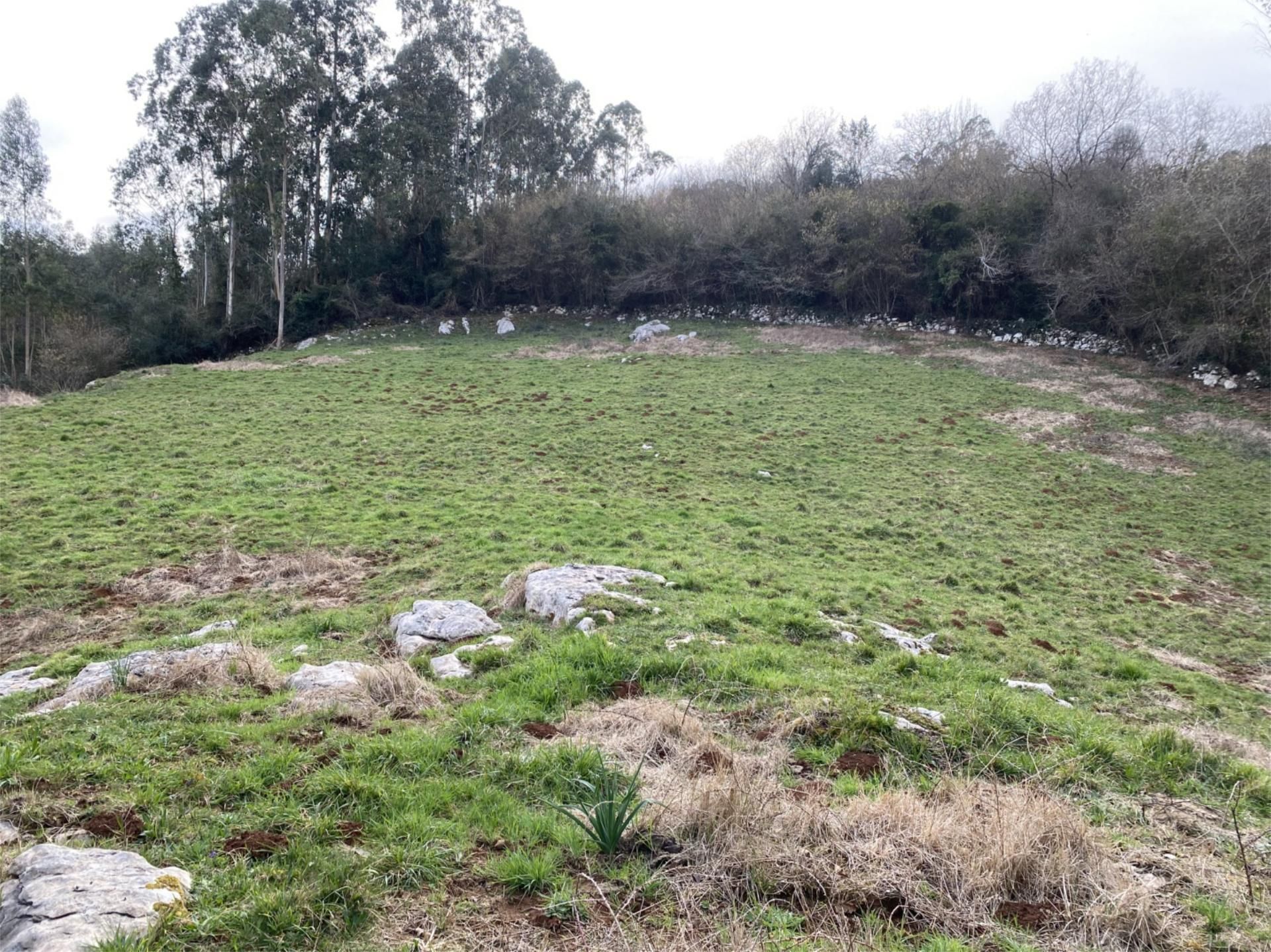 No Urbanitzable en venda en Udías