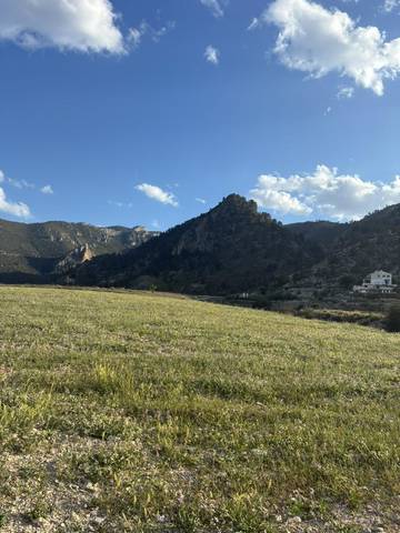 Terreno en Venta en Diseminado Huerta Bayna, 4 en Blanca