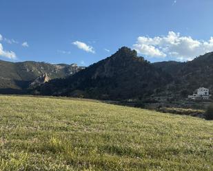 Land for sale in Blanca