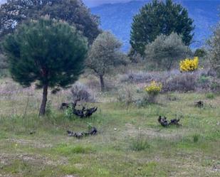 No Urbanitzable en venda en San Martín de Valdeiglesias