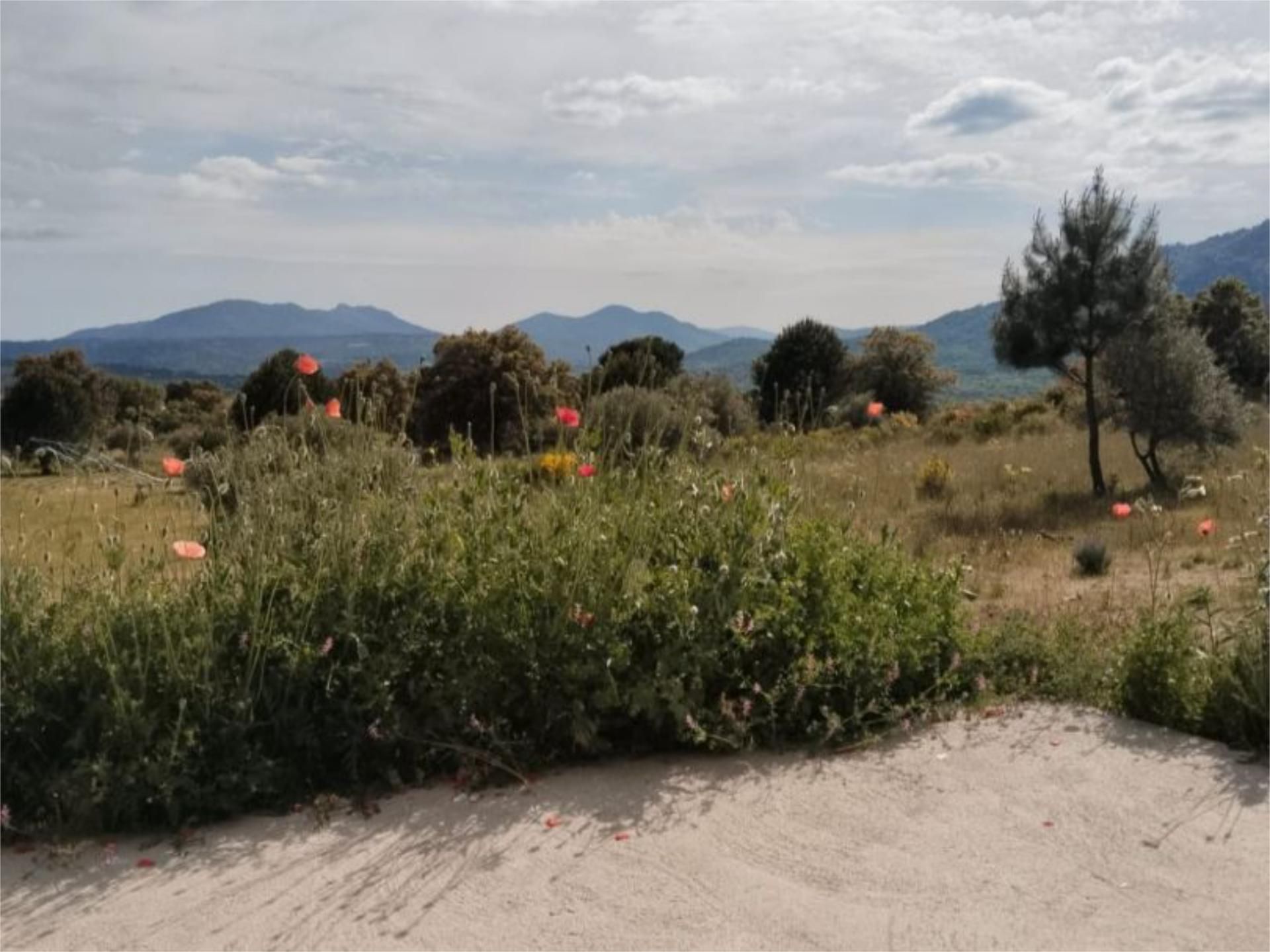 No Urbanitzable en venda en San Martín de Valdeiglesias