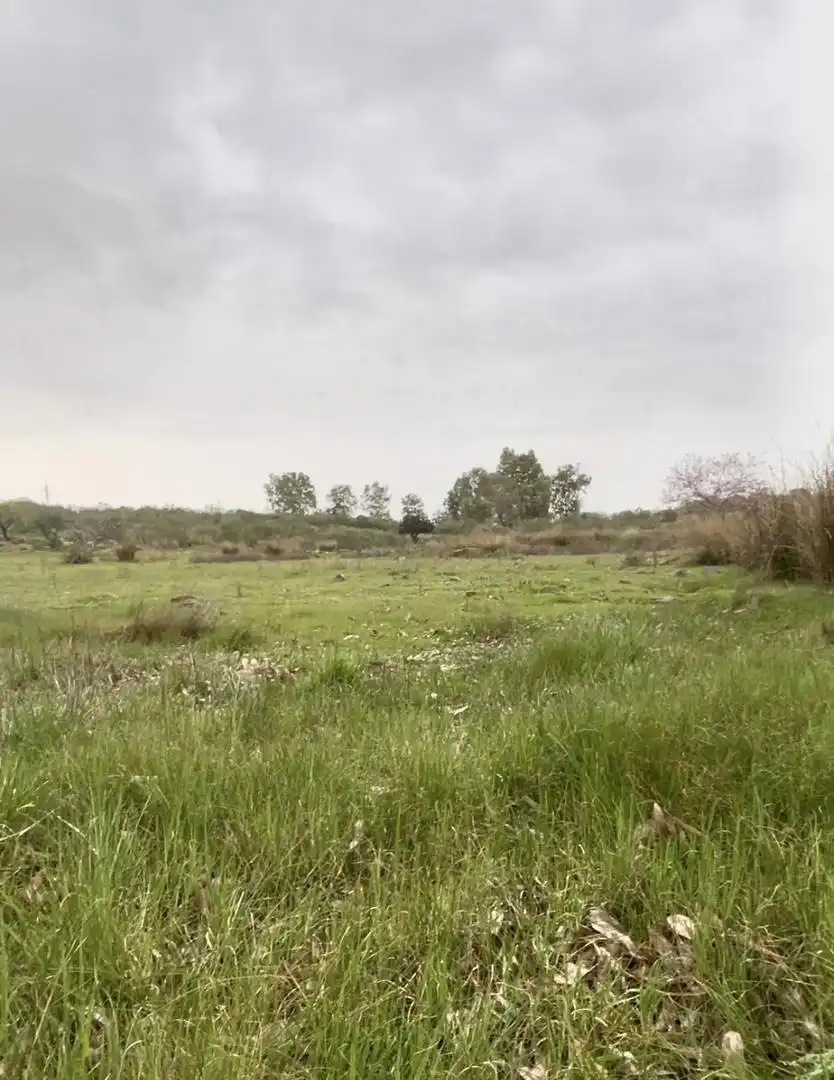 Land for sale in Mérida